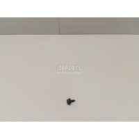 Саморез Chery Exceed TXL 2020 FQ2B24819F38