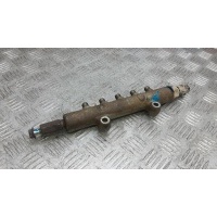 Топливная рампа дизельная MITSUBISHI L200 (2006-2011) 2010 1465A034