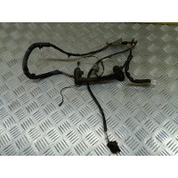 Проводка двери Nissan Pathfinder (R51M) 2004-2013 Внедорожник 2006 24126EB301