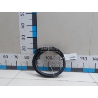 Уплотнитель (наружный) VAG Octavia (A4 1U-) (2000 - 2011) 1U6810958B