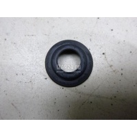 Шайба VAG Octavia (A4 1U-) (2000 - 2011) 1J0955276B