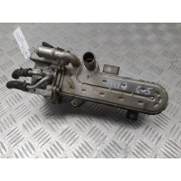 Охладитель отработаных газов Volkswagen Golf-5 2007 038131513AD