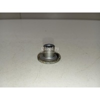 Втулка (двигатель) VAG A6 [C6,4F] (2004 - 2011) 4B0253205D