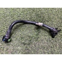 трубка системы охлаждения Porsche Cayenne E3 9Y 959 2019 PAB317801C, PAB317801C, 4n0317801d, PAB31780100