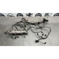 Проводка моторная Mercedes C/W203 2000-2008 A6461500233
