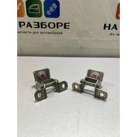 Петля крышки багажника RENAULT SANDERO 2018 844002579R