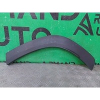 Расширитель крыла Jetour Dashing X-1 2022-нв F165500170CA, 4