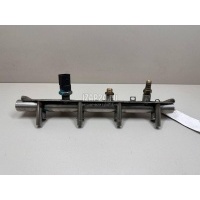 Рейка топливная (рампа) VAG A3 [8PA] Sportback (2004 - 2013) 06F133317L