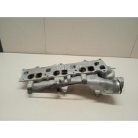 Коллектор впускной Mercedes Benz G-Class W463 1989 6420907737