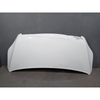 Капот Jac Sunray 8402010R001E