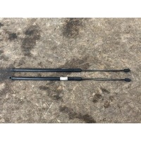 Амортизатор капота Audi R8 420 2008 420823359, 420823359, 42082335902S