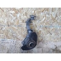 Кулак поворотный Mercedes E W213 2017 A2133325200