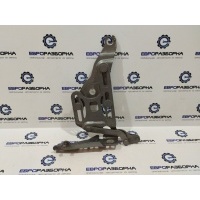 Петля капота BMW X6 E71 2013 7148347, 41617208629, 41007198617