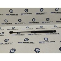 Амортизатор капота BMW X6 E71 2013 7148346, 51237148346
