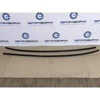 Молдинг крыши BMW 1 F40 2021 51139879311, 9879311, 51139879312, 9879312, 7932725, 7932726