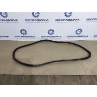 Уплотнитель двери BMW 1 F40 2021 51727452341, 7452341