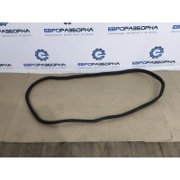 Уплотнитель двери BMW 1 F40 2021 51727452335, 7452335