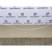 Молдинг крыши BMW 7 G11 2022 51137357276, 7357276