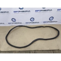 Уплотнитель двери BMW 7 G11 2022 7336046