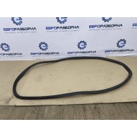 Уплотнитель двери BMW 7 G11 2022 7336046
