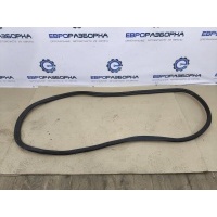 Уплотнитель двери BMW 7 G11 2022 7336046