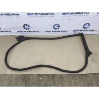 Уплотнитель двери Audi Q8 4M8 2021 4M8831707