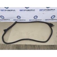 Уплотнитель двери Audi Q8 4M8 2021 4M8831708