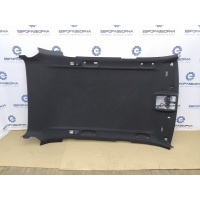 Потолок черный BMW X5 E70 2012 51448037340, 8037340