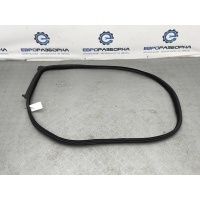 Уплотнитель двери BMW M6 F06 2014 51337275298, 7275298
