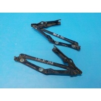 Петля крышки багажника (комплект) LEXUS GS 3 2005-2012 6452030240