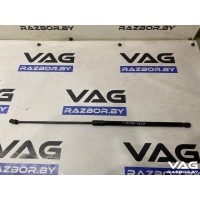 Амортизатор капота Volkswagen Tiguan 2 2019 5NA823359A