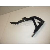 Петля капота левая BMW X5 E53 (2000 - 2007) 41617006123