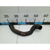 Патрубок радиатора VAG Caddy III (2004 - 2015) 1K0121101BS