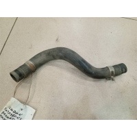 Патрубок радиатора Honda Civic 5D 2005-2012 2008 19502RSAG00