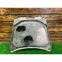 Защита двигателя BMW X5 E53 2001 31101095656, 826889704, 826889704