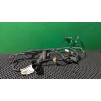 Проводка двери задней левой Ford S-Max 1 restailing 2011 AG9T 14240 CBB
