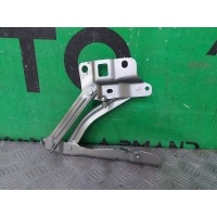 петля капота OMODA C5 T19C 2022-нв 553000320AADYJ, 553000320AA, 7