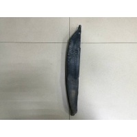 Пыльник (кузов наружные) Hyundai Hyundai Getz 2002-2010 841621C060