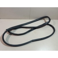 Уплотнитель двери Hyundai-Kia RIO (2005 - 2011) 821201G001