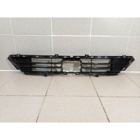 Решетка в бампер центральная Omoda S5 602001528AA