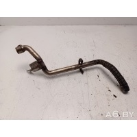 Патрубок автономного отопителя Volkswagen Touran 1 2007 1K0819508F