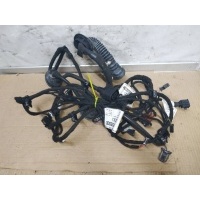 Проводка двери задней левой Audi A8 D3/4E [2-й рестайлинг] 2008 4E4971693D,4E0971687DB,4E0971142A