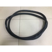Уплотнитель двери Citroen Citroen C4 2005-2011 9023SW