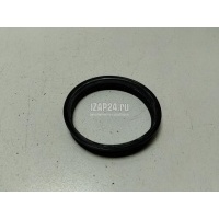 Кольцо уплотнительное (двигатель) Renault X-Trail (T30) (2001 - 2006) 1734279900