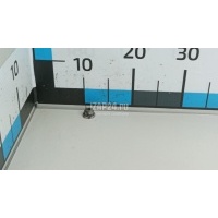 Гайка переднего амортизатора Nissan X-Trail (T30) (2001 - 2006) 54588JP00D