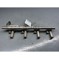 Топливная рампа Ford Escape 3 2012 CJ5G-9H487-BA,0261555119,BM5G-9F972-BA
