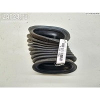 Гофра проводки двери Volkswagen Passat B5+ (GP) 2003 3b0959843