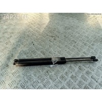 Амортизатор крышки (двери) багажника Renault Scenic II (2003-2009) 2003 8200174571