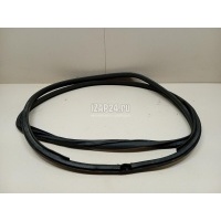 Уплотнитель двери Toyota RAV 4 (2006 - 2013) 6233242040B0