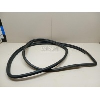 Уплотнитель двери Toyota RAV 4 (2006 - 2013) 6233142040B0